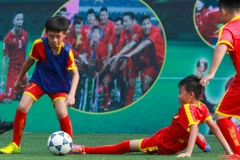 Giải được bài toán phát triển bóng đá trẻ, Việt Nam mới có thể mơ về tấm vé dự World Cup. (Ảnh: PV/Vietnam+) 