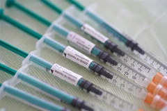 Vắcxin phòng COVID-19 do Công ty AstraZeneca phát triển. (Ảnh: PAP/TTXVN)