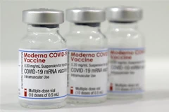 Vắcxin ngừa COVID-19 của Moderna. (Ảnh: AFP/TTXVN)