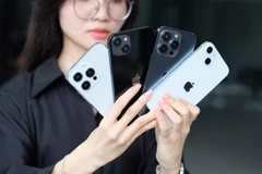 Ảnh minh họa. (Ảnh: CTV/Vietnam+)