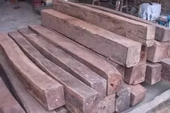 Quảng Nam: Xử lý nghiêm đối tượng vận chuyển lâm sản trái phép