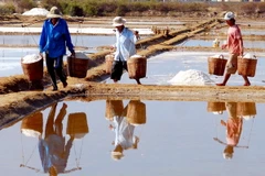 Bí thư Thành ủy TP.HCM thăm, chúc Tết tại huyện Cần Giờ