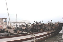 Tạm dừng hoạt động đội tàu du lịch Hạ Long Biển Ngọc sau vụ cháy