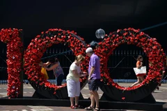 Sydney xây tường hoa anh túc kỷ niệm ngày đổ bộ Gallipoli