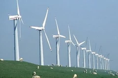 Ảnh minh họa. (Nguồn: Internet)