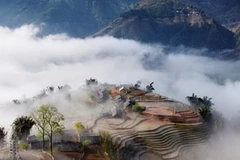 Tác phẩm "Bậc thang trong mây" của tác giả Minh Được giành Huy chương Bạc.