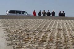 Một tuyến đê biển được nâng cấp tại Hải Phòng. (Nguồn: Internet)