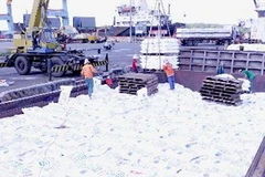 Bốc xếp hàng tại Cảng Dịch vụ Kỹ thuật dầu khí PTSC Phú Mỹ của Bà Rịa-Vũng Tàu. (Nguồn: TTXVN)