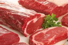 Đồng Nai vừa nhập khẩu 1.500 con bò từ Australia