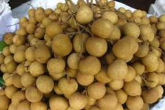 Ảnh minh họa. (Nguồn: Internet)