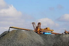 Ảnh minh họa. (Nguồn: Internet)