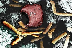 Vi khuẩn bệnh than. (Nguồn: Internet)