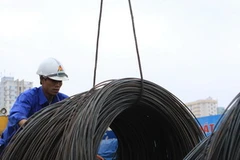 Ảnh minh họa. (Nguồn: Tuấn Anh/TTXVN)