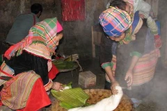 Người H'Mông làm bánh dày chuẩn bị đón Năm mới. (Nguồn: Internet)