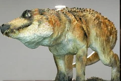 Cá sấu thời tiền sử. (Nguồn: Internet)