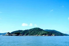 Đảo Hòn Khoai nhìn từ xa. (Nguồn: Internet)