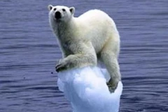 Biến đổi khí hậu dẫn tới nhiều nguy cơ khó lường. (Nguồn: Internet)