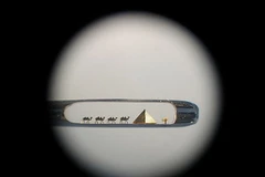 Tác phẩm "Đàn lạc đà trong sa mạc" được đặt trong lỗ một cây kim. (Nguồn: Internet)