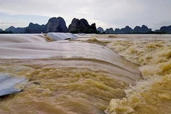 Ảnh minh họa. (Nguồn: Internet)