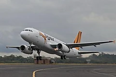 Ảnh minh họa. (Nguồn: Internet)