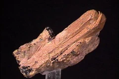 Một mẩu quặng đất hiếm. (Nguồn: gallaries.com) 