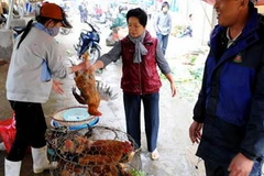 Người tiêu dùng chuyển sang các thực phẩm tươi sống khác thay cho thịt lợn. (Nguồn: Internet)