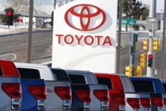 Ảnh minh họa. (Nguồn: Internet)