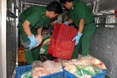 Tịch thu gà đông lạnh không đảm bảo an toàn vệ sinh thực phẩm đưa đi tiêu hủy. (Ảnh: Mạnh Linh/TTXVN)