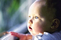 Ảnh minh họa. (Nguồn: Internet)