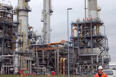 Ảnh minh họa. (Nguồn: Internet)