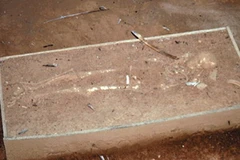 Một thi hài cổ được phát hiện tại Khu khảo cổ El Caño. (Nguồn: Internet)