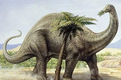 Ảnh minh họa. (Nguồn: Internet)