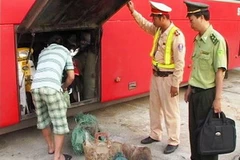 Lực lượng chức năng phát hiện 6 cá thể khỉ đuôi lợn còn sống trong xe khách BKS 51B-019.49. (Nguồn: baothuathienhue.vn)