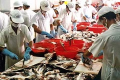 Việt Nam là quốc gia duy nhất của ASEAN có sự thăng hạng trong năm 2010. (Nguồn: Internet)