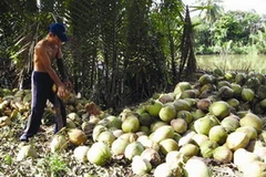 (Nguồn: tienphong.vn)