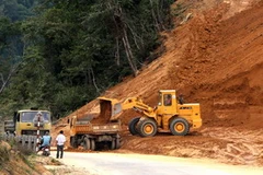 Ảnh minh họa. (Nguồn: Trần Lê Lâm/TTXVN)