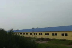 Trang trại chăn nuôi lợn của ông Vũ Trọng Nghĩa. (Ảnh: Nguyễn Trường/Vietnam+)