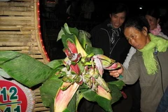 Người dân hiếu kỳ xem cây chuối lạ. (Nguồn: Nguyễn Sơn)