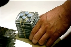 Ảnh minh họa. (Nguồn: Internet)