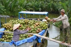 Ảnh minh họa. (Nguồn: Internet)