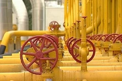 Ảnh minh họa. (Nguồn: Internet)