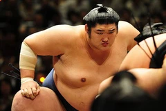 Võ sĩ Kotomitsuki là một trong các nhân vật dính líu đến bê bối cá độ. (Nguồn: Internet)