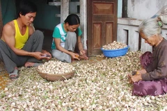 Ảnh minh họa. (Nguồn: Internet)