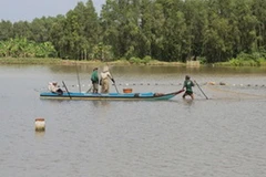 Ảnh minh họa. (Nguồn: TTXVN)