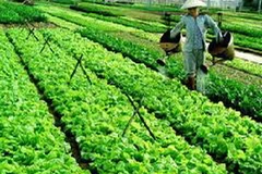 Ảnh minh họa. (Nguồn: Internet)