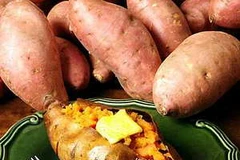 Phục tráng khoai lang Hoàng Long năng suất cao