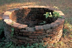 Ảnh minh họa. (Nguồn: Internet)