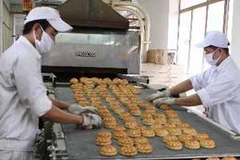 Sản xuất bánh Trung Thu tại Công ty Hải Hà - KOTOBUKI. (Nguồn: TTXVN)