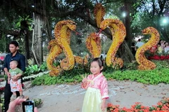 Tạo hình 5 con rắn bằng hoa cúc khô độc đáo. (Ảnh: Hoàng Anh Tuấn/Vietnam+)