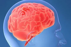 Ảnh minh họa. (Nguồn: Internet)